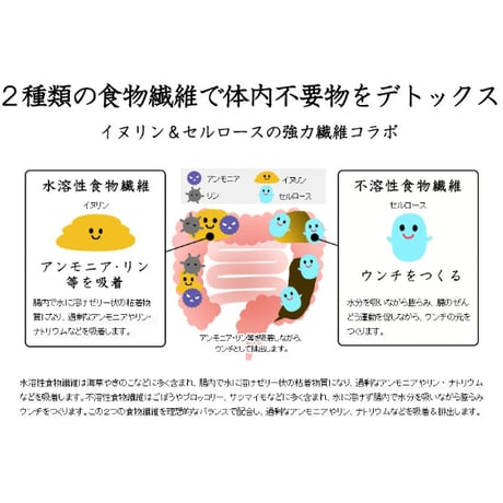 【ダイエット】和漢みらいのドッグフード