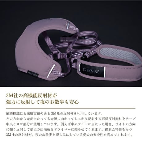 イージーコンフォート