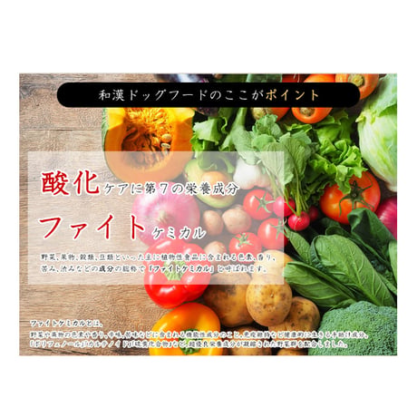 【皮膚・アレルギー】和漢みらいのドッグフード