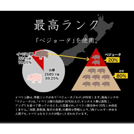 【低たんぱく】和漢みらいのドッグフード/ウエットタイプ