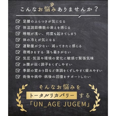 アンエイジ ジュゲム無縫製タンク