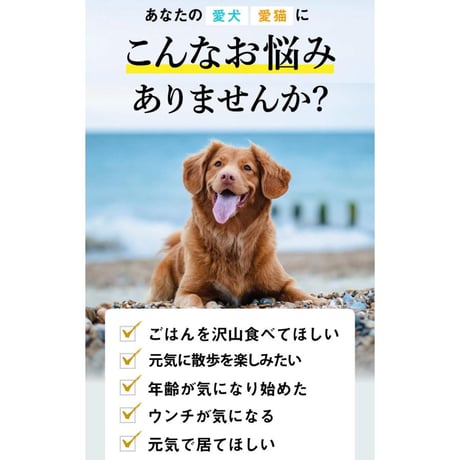 コルディフローラ（グリーンラベル）