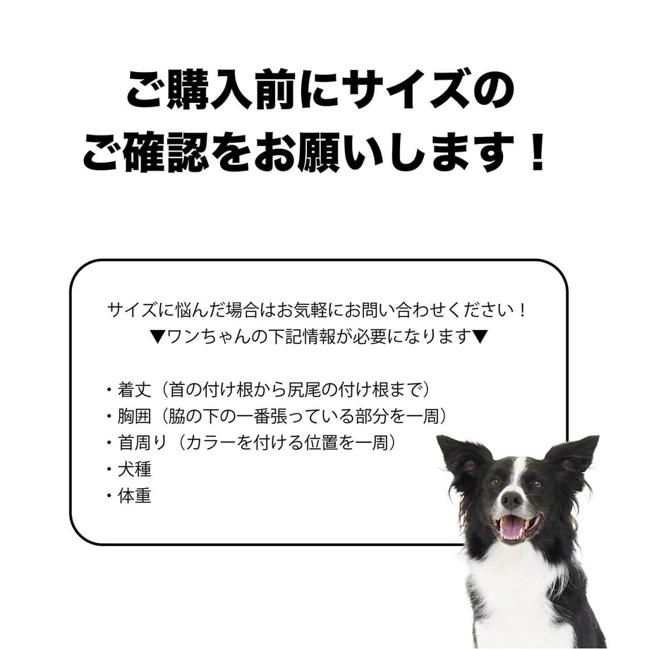 62fa14418a0bd03c2414a2a1