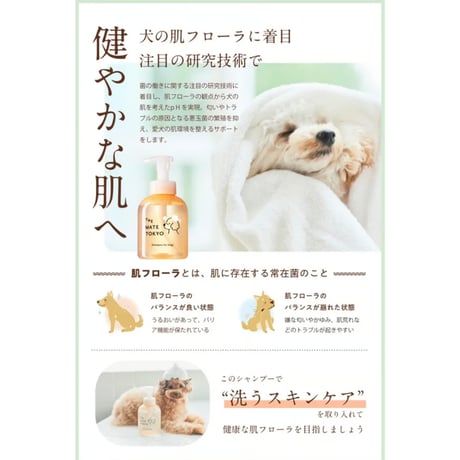 The Mate Tokyo スキンケアシャンプー（泡タイプ）460 mL