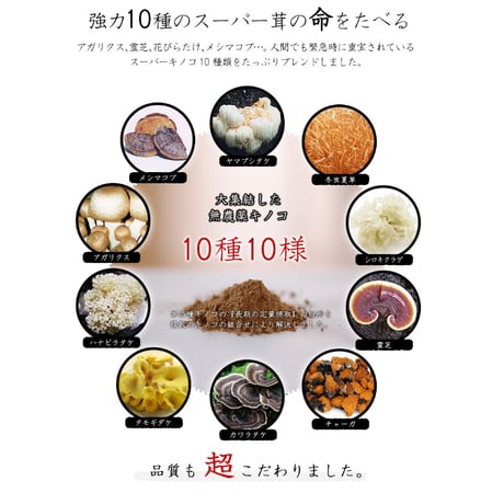 【G・A・N+】和漢みらいのドッグフード