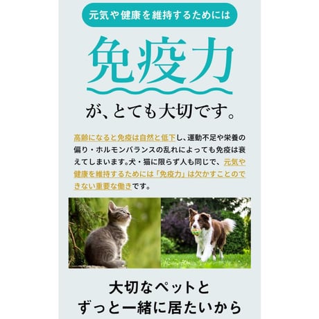 コルディフローラ（グリーンラベル）