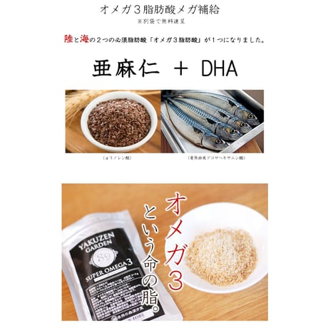 【G・A・N+】和漢みらいのドッグフード