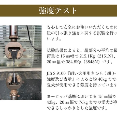 TREKNINE  カラー  ダブルリングメッシュパッド
