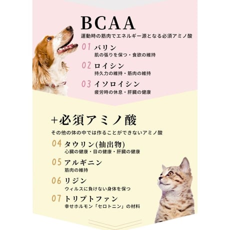 アミノファイン25g