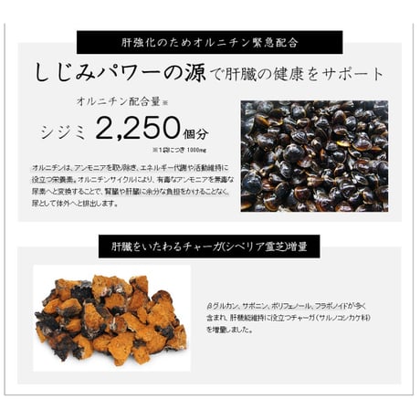 【肝臓】和漢みらいのドッグフード