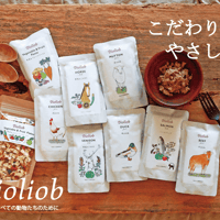 ディッシュシリーズ