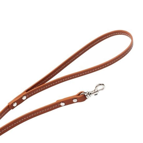 CATEGORY お散歩・おでかけ | Ohana with's STORE