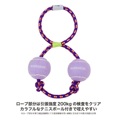パリパリブースター