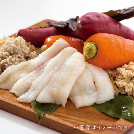 ドットわん魚ごはん