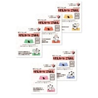 漢方ごはん改めげんかつごはん　レトルトタイプ