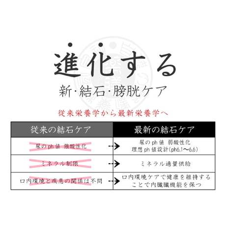 【結石・膀胱炎】和漢みらいのドッグフード