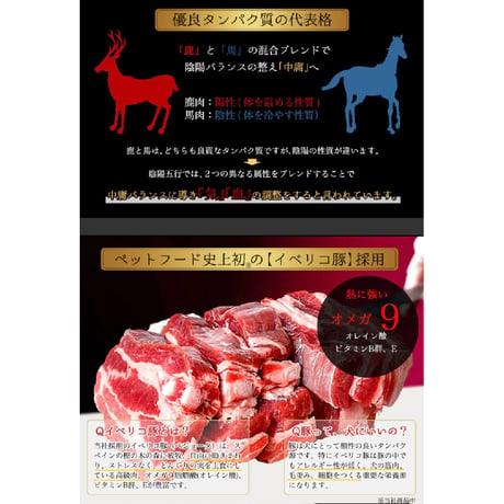 【低たんぱく】和漢みらいのドッグフード/ウエットタイプ