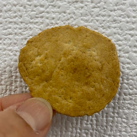 筋肉計画プロテインチップ15g