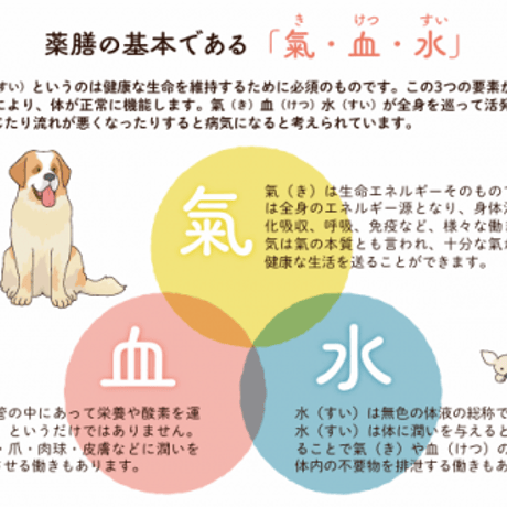 HolisticFoodcare