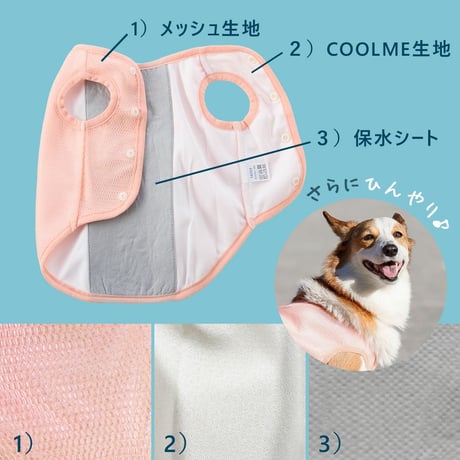 Wクールタンク