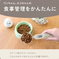 ちょうどイイがわかる　イーさじカゲン