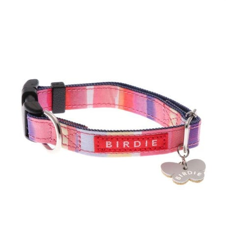 【BIRDIE】マルチボーダーカラーS