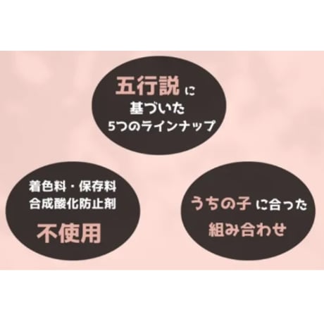 漢方ごはん改めげんかつごはんドライタイプ80g