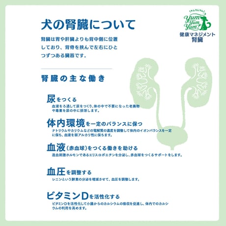 食事療法食「健康マネジメント・腎臓」