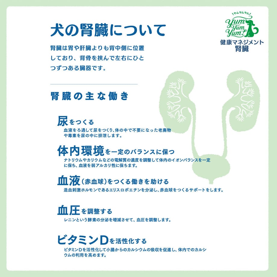 636a16d0c15c5a5e42a60aeb