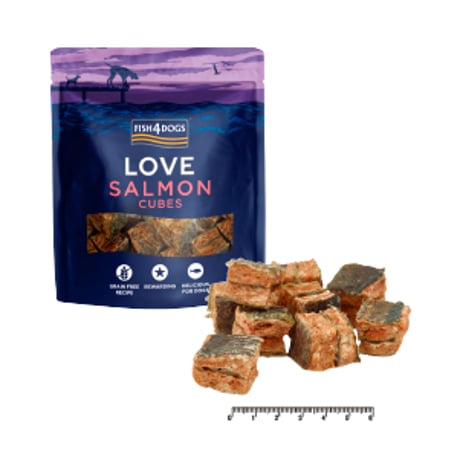 CATEGORY フィッシュ4ドッグ | Ohana with's STORE