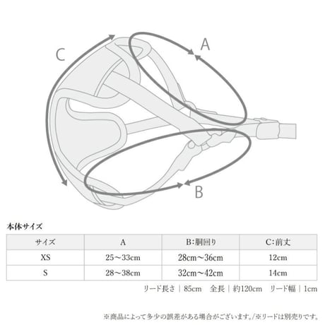 イージーコンフォート