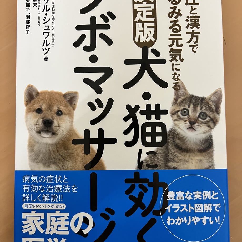 64fbc766105251002d9e9a7f