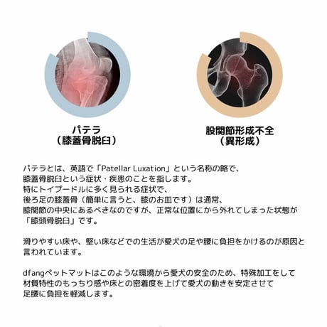 【60×70・廊下敷きタイプ】ペット専用防水クッションマット