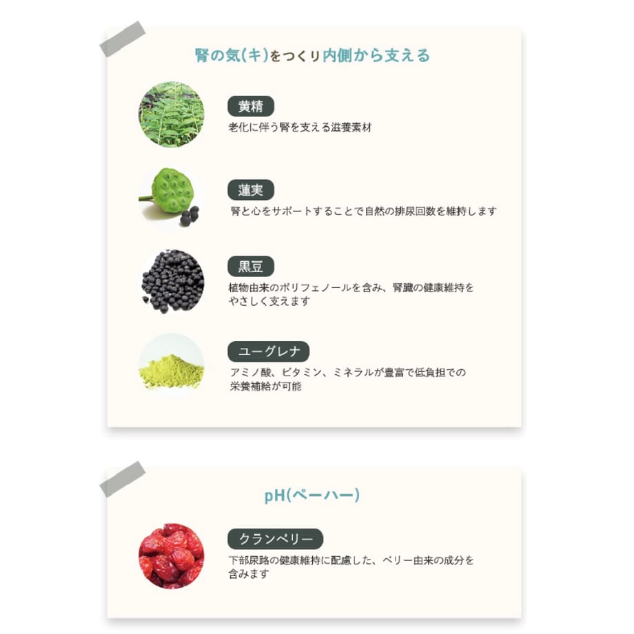688b51eeff9a53c057e4a416