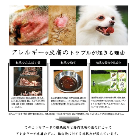 【皮膚・アレルギー】和漢みらいのドッグフード