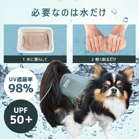 Wクールタンク