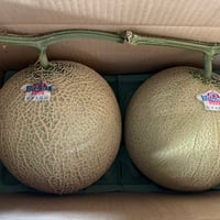 秋田甘えんぼメロン（赤肉）2個セット　1.7～2㎏