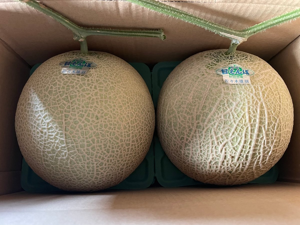 秋田甘えんぼメロン（緑肉）2個セット 1.7～2㎏ | めろんのーと