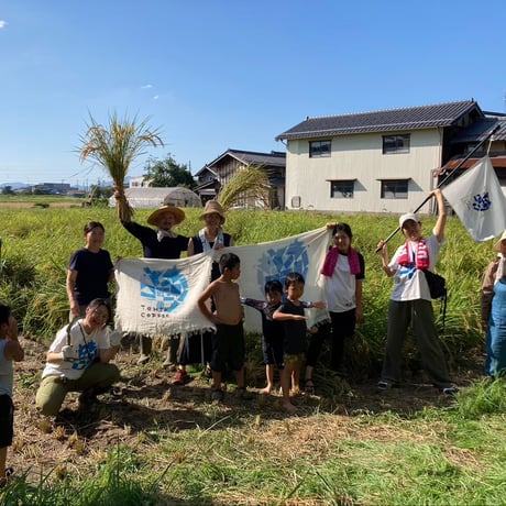 【最高級 はざがけ天日干し マサラ米　精米3kg】※常温発送