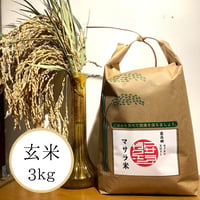 【最高級 はざがけ天日干し マサラ米　玄米3kg】※常温発送