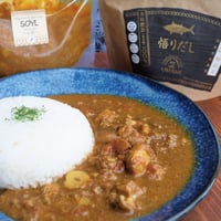 【小辛】悟りだしが香る UMAMIチキンカレー