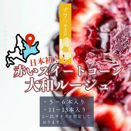 日本初！赤いスイートコーン【2025年9〜10月発送】