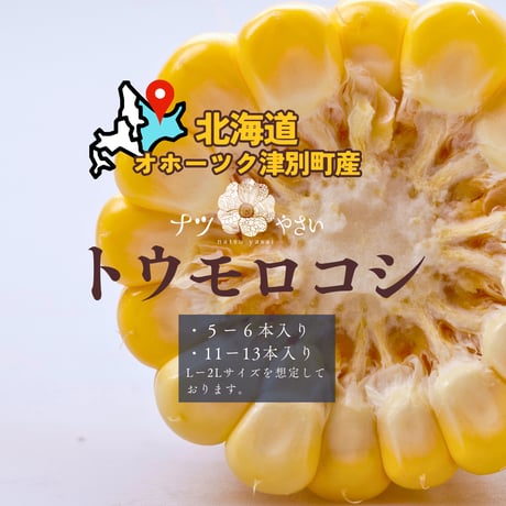 ナツやさい STORE