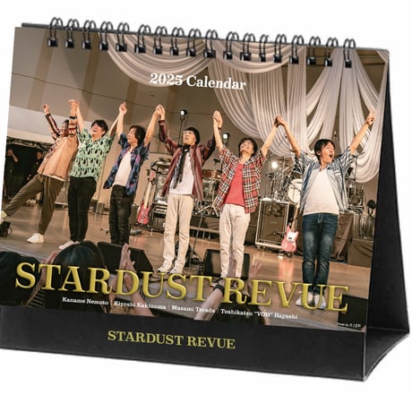 スターダストレビュー　直筆サイン入りマグカップ スターダストレビュー 直筆サイン入りマグカップ