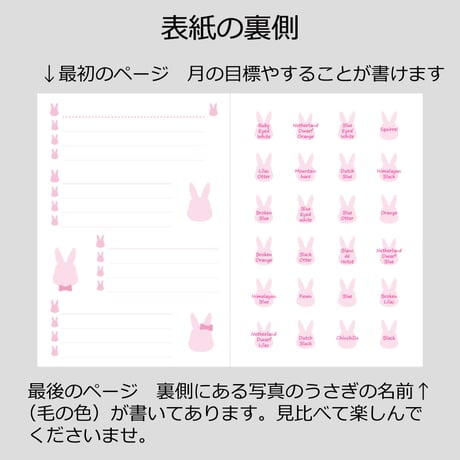 大人の時間割帳（日付フリー）Ａ５サイズ　うさぎのがっこう　お徳用４冊セット　1年分　3,800円