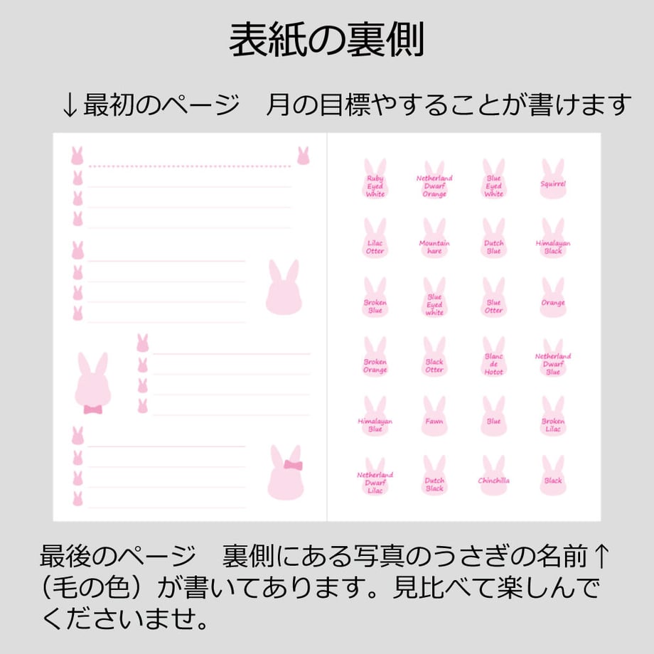6011339f6e84d55d3a04ac3d