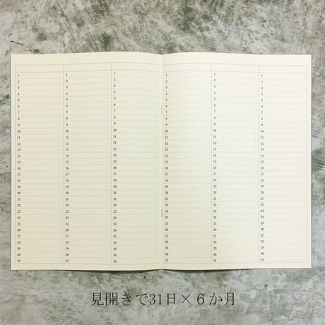 A4サイズ　５年ひとこと日記　ライラック　１冊　1,000円