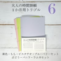 大人の時間割帳（１か月）６冊セット トリプル（ももセットかぶどうセットを選んで下さい）1,600円