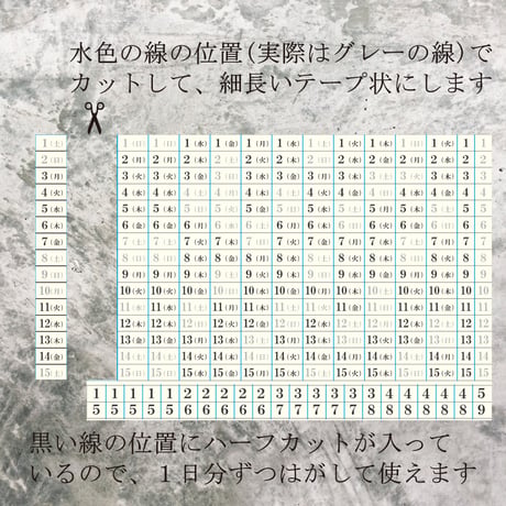 クリーム色の日付シール（2026年・週間）700円