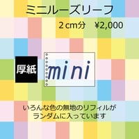 【厚紙】ミニサイズルーズリーフ9穴　リフィル福袋　2cm分　2,000円